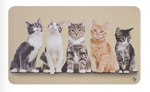 OLIVO TAPPETI podloga PET OASIS 45 x 75 cm, motiv mačke