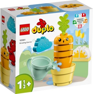 LEGO Uzgoj mrkve 10981