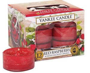 Yankee Candle mirisna svijeća, Tea Lights 12/1, Red Raspberry