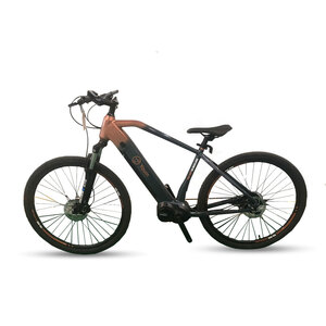 XPLORER električni bicikl Kilimajaro R18, siva