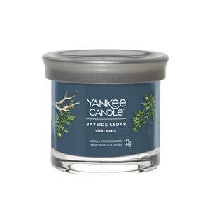 Yankee Candle mirisna svijeća, Signature, Small Tumbler, Bayside Cedar