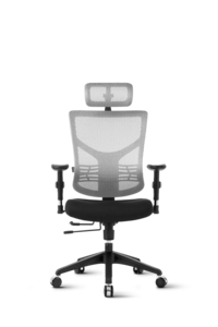 Ergovision Essent 01, uredska stolica, bijelo-siva leđa/crno sjedalo