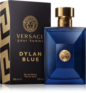 Versace, Dylan Blue Pour Homme, EDT 100ml, muški