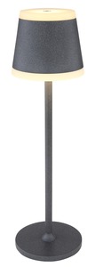Stolna svjetiljka RIDLEY, IP54, siva