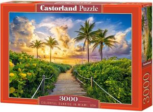 Puzzle 3000 kom - Miami, USA