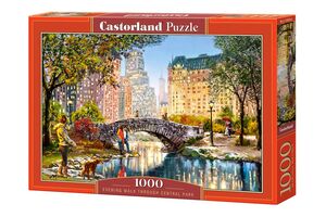 Puzzle 1000 kom - Večernja šetnja Central parkom