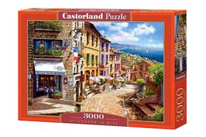 Puzzle 3000 kom - Poslijepodne u Nici
