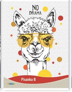 Pisanka B STREET MIX, B5 linije, 16 listova, meki uvez