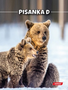 Pisanka D TARGET, B5 linije, 48 listova, meki uvez