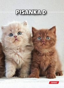 Pisanka D TARGET, B5 linije, 48 listova, meki uvez