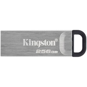 USB memorija Kingston DataTraveler Kyson 256GB