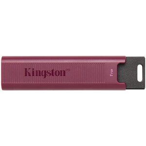 USB memorija Kingston DataTraveler Max 1TB