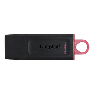 USB memorija Kingston 256GB DataTraveler Exodia (DTX/256GB)