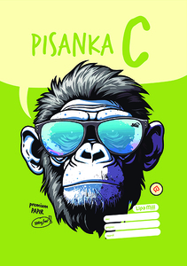 Pisanka C LIPA MILL, B5 linije, 24 lista, meki uvez