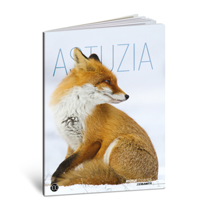 Bilježnica  Blasetti Scuola Animal essence, A4 linije, 38 listova, meki uvez