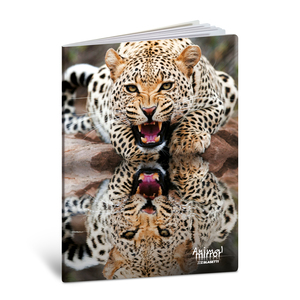 Bilježnica  Blasetti Scuola Animal mirror, A4 linije, 42 listova, meki uvez