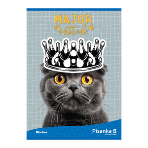 Pisanka B KARBON MIX, B5 linije, 16 listova, meki uvez