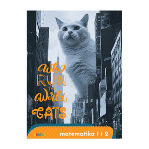 Pisanka Matematika 1 i 2  STREET GOLD MIX, B5 kvadratići, 24 lista, meki uvez