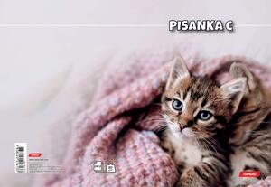 Pisanka C, Target životinje, B5, linije, 24 lista, meki uvez