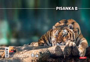 Pisanka B, Target životinje, B5, linije, 16 listova, meki uvez