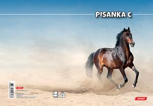 Pisanka C, Target životinje, B5, linije, 24 lista, meki uvez