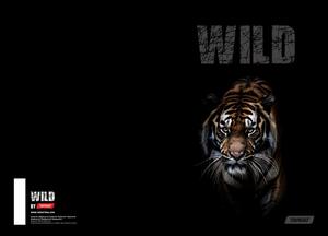 Bilježnica, Target Animal Wild, A4, linije, 54 lista, meki uvez