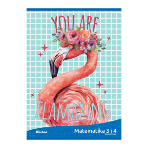 Pisanka Matematika 3 i 4 KARBON MIX, B5 kvadratići, 48 listova, meki uvez