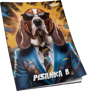 Pisanka B Connect Girl+ Soft, B5 linije, 24 listova, meki uvez