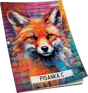 Pisanka C za 2 i 3 razred Premium Connect Girl, B5 linije, 24 listova, meki uvez