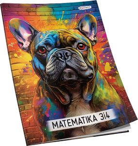 Pisanka matematika za 3 i 4 razred Premium Connect Girl, B5 kvadratići, 48  lista, meki uvez