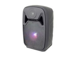 MANTA Bluetooth zvučnik, FM radio, 18W, disco efekti, ugrađena baterija SPK5100