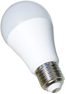 X-LIGHT LED žarulja E27 12W hladna bijela