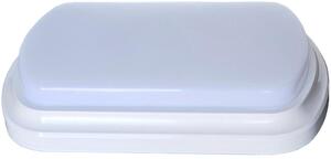 X-LIGHT Nadzidna LED plafonjera vanjska 24W hladna s detektorom pokreta