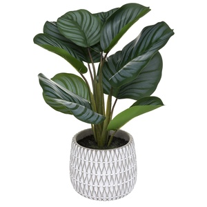 Atmosphera umjetno cvijeće u tegli - maranta, 45 cm, zeleno