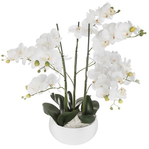 Atmosphera umjetno cvijeće u tegli - orhideja, 65 cm, bijela