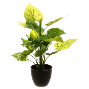 Atmosphera umjetno cvijeće u tegli - Real Touch, 45 cm, zeleno