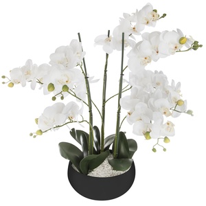 Atmosphera umjetno cvijeće u tegli - orhideja, 65 cm, crna