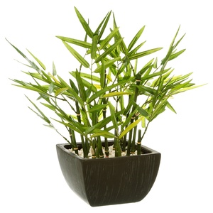 Atmosphera umjetno cvijeće u tegli - bambus, 35 cm, crna