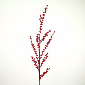 Grana crvene bobice, 114cm