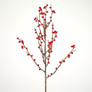 Grana crvene bobice, 101cm