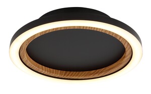 Stropna svjetiljka DAKARI (Ø20,5 cm), LED, crna