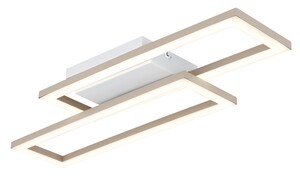 Stropna svjetiljka WILTON, LED, bijela