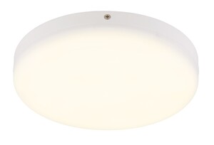 Stropna svjetiljka MATTHEW, LED, bijela