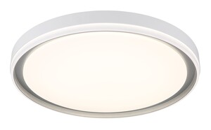 Stropna svjetiljka JANICE (Ø50 cm), RGBW LED, bijela