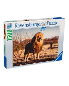 Ravensburger 1500 kom puzzle Lion in the Savannah