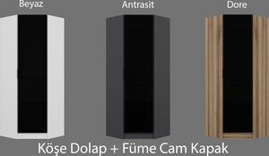 Garderoba, Kale Glass Dark Grey Oak - 210