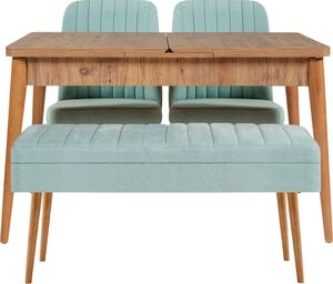 Set stola i stolica (4 komada), Vina 0701 - 3 - Atlantic, Green