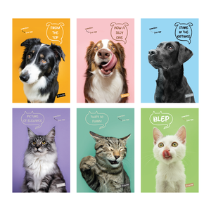 Set bilježnica Woof, A4 kvadratići, 42 lista, meki uvez, 10 KOM