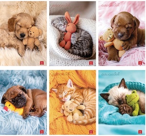 Set bilježnica Pigna Dolci Cuccioli, A4 linije, 52 listova, meki uvez, 10 KOM