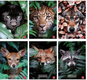 Set bilježnica Pigna Animal, A4 linije, 52 listova, meki uvez, 10 KOM